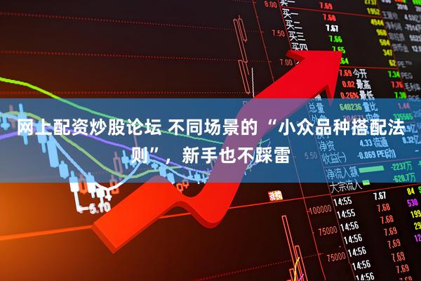 网上配资炒股论坛 不同场景的 “小众品种搭配法则”，新手也不踩雷